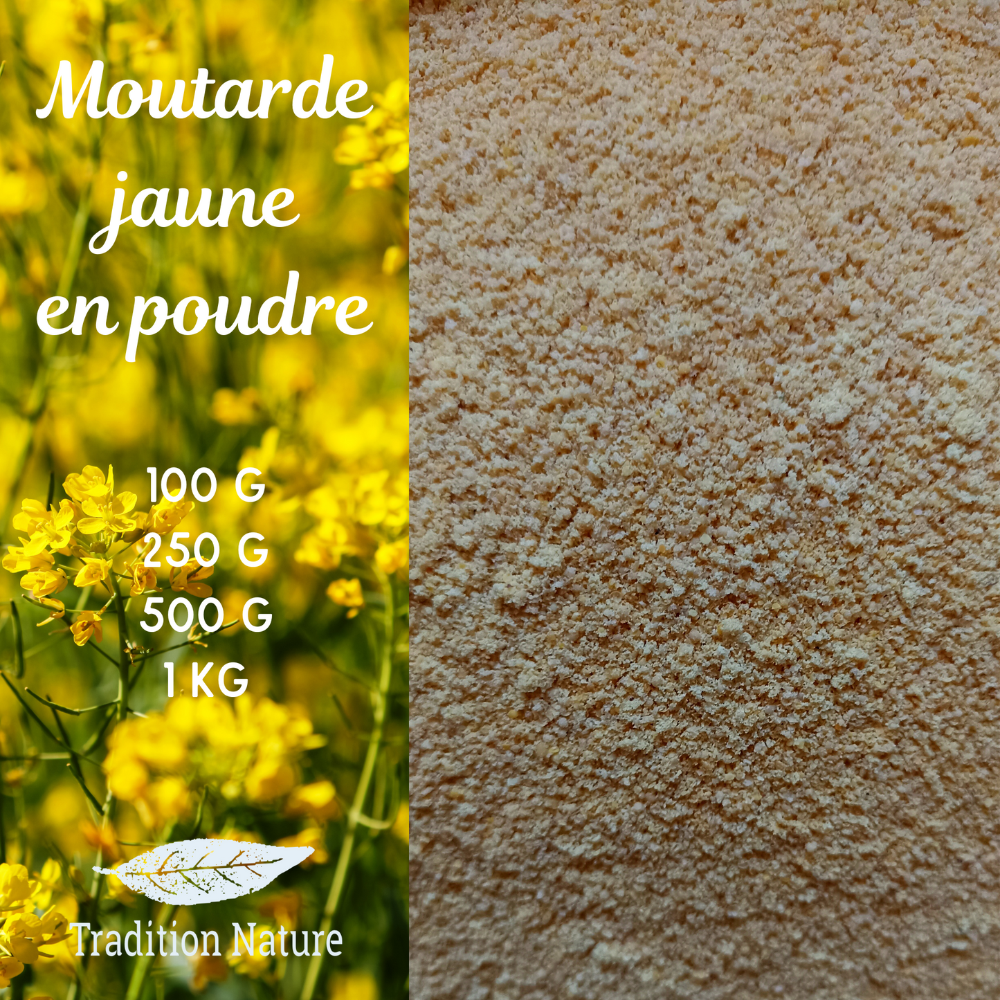 MOUTARDE JAUNE BIOLOGIQUE EN POUDRE - GŪSTAE - Graines de moutarde